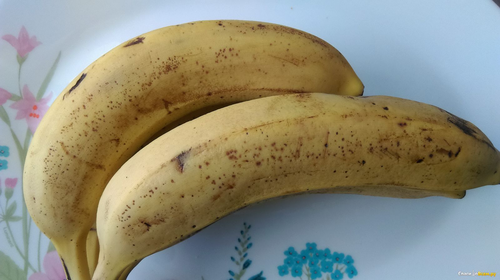 Банановая Диета Отзывы