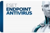 Антивирус Eset Endpoint Antivirus для Windows