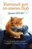 Книга "Уличный кот по имени Боб", Джеймс Боуэн