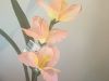 Искусственные цветы Mashi artificial flower industrial Co ltd