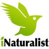 Социальная сеть натуралистов INaturalist.org