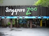 Зоопарк Singapore Zoo в Сингапуре