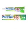Зубная паста Powerdent "Whiteness & Protection" 3