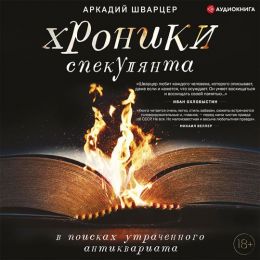 Аудиокнига "Хроники спекулянта. В поисках утраченного антиквариата", Аркадий Шварцер