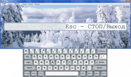 Бесплатный клавиатурный тренажёр Stamina для Windows