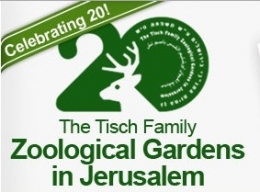 Библейский зоопарк (Иерусалим, Израиль)