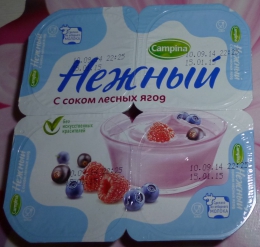 Йогурт Campina Нежный с соком лесных ягод 1,2%