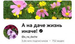 Канал на YouTube А на даче жизнь иначе!