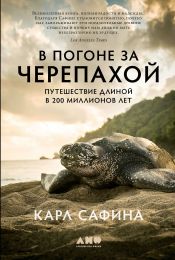 Книга "В погоне за черепахой", Карл Сафина