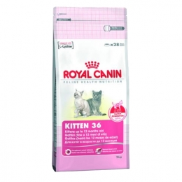 Корм для котят Royal Canin Kitten 36