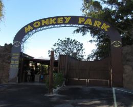 Monkey Park (Испания, Тенерифе)