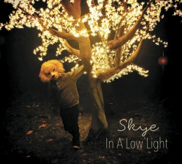 Музыкальный альбом Skye -  In A Low Light (2015)