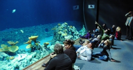 Океанариум Tropen-Aquarium в зоопарке Хагенбек (Германия, Гамбург)