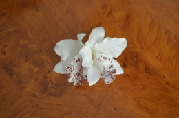 Заколка Xylitol "S103 1PC Womens Wedding Bridal Orchid Flower Leopard Hair Clip Barrette Hair Dress"