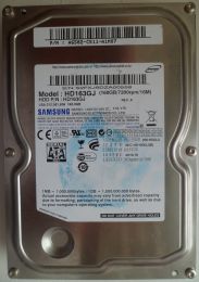 Жесткий диск Samsung HD163GJ
