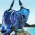 Пляжная сумка Oriflame "Голубая лагуна"