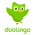 Приложение Duolingo для Android