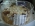 Торт Золотой колос "Медовик со сметанным кремом"