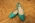 Туфли женские Centro арт. SISI-H1-01