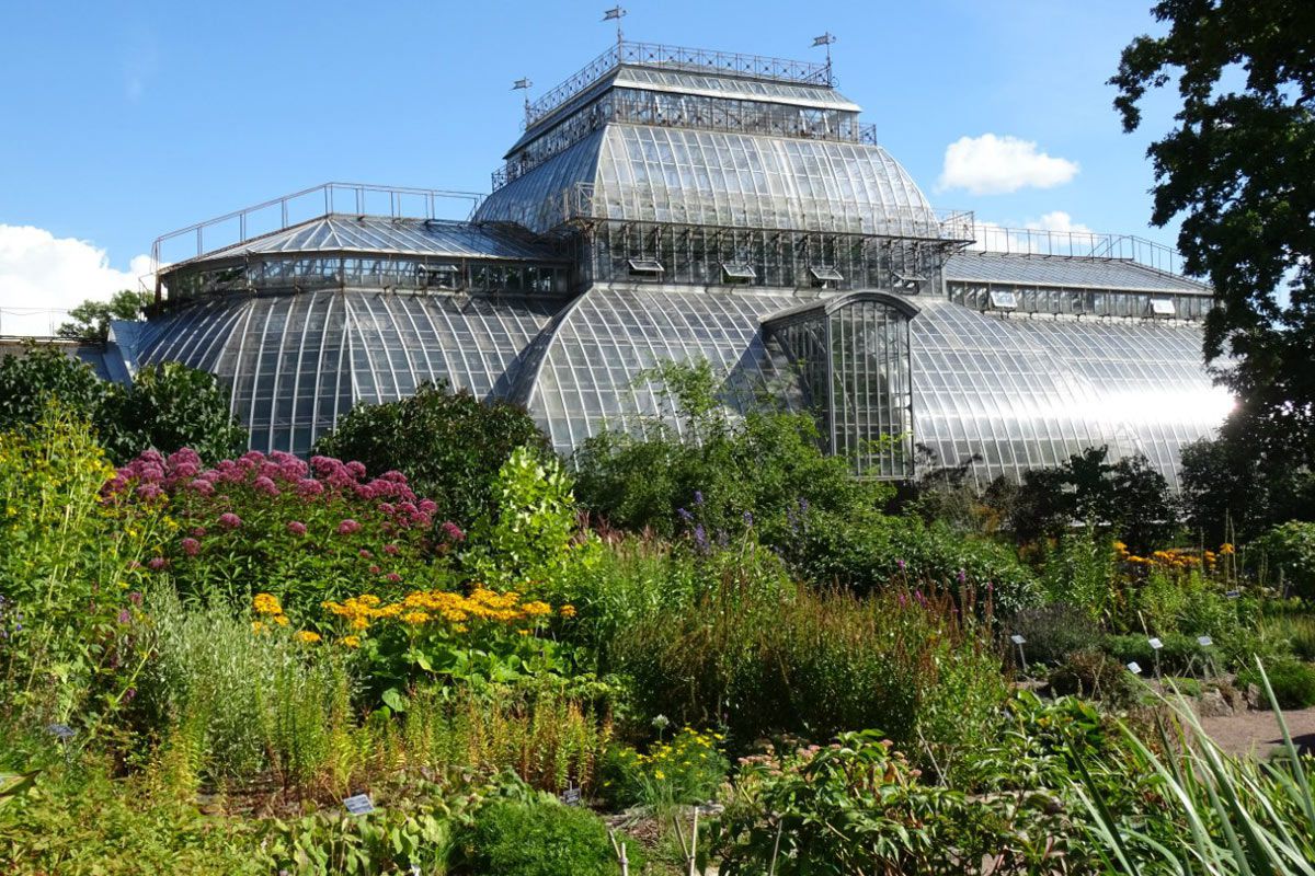 Ботанический сад санкт петербург парк дендрарий фото