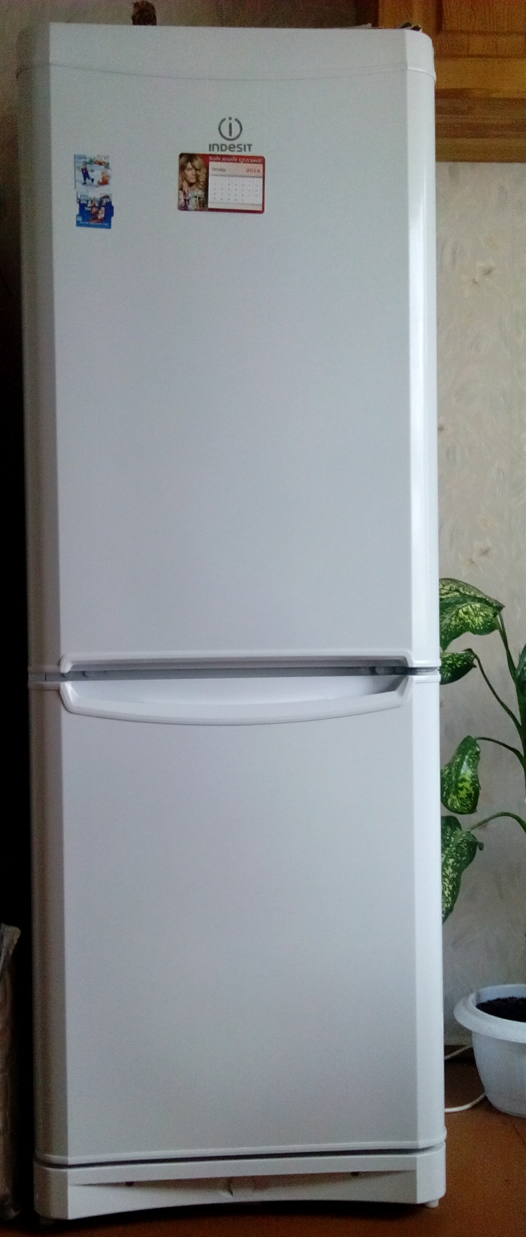 Холодильник индезит двухкамерный модели. Холодильник Индезит двухкамерный 105170281018.