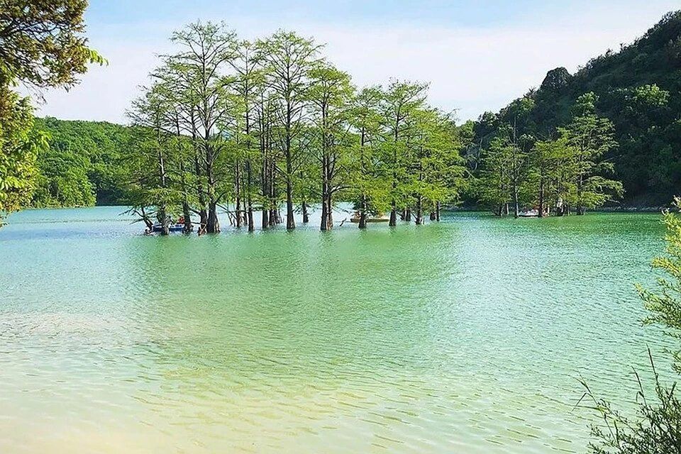 Сукко кипарисовое озеро фото