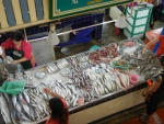 Продовольственный рынок Banzaan Fresh Market на Патонге - продажа морепродуктов