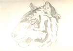 Копия рисунка головы тигра