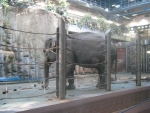 Животные Московского Зоопарка