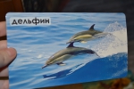 Комплект карточек "Мир на ладошке" Живой океан, "Умница"