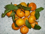 мандарины с листиками