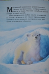 Детская книга "Как Медвежонок солнце искал", Хейзел Линкольн - иллюстрации