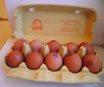 Яйца в коробке