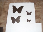 4 вида бабочек