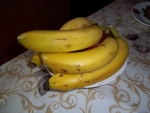 Любимые бананы