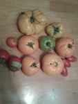 Много помидоров