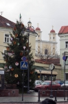 Вильнюс, рождественские елки