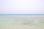 Риф на райском острове