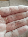 количество выпавших волос после использования Aroma Shampoo Ylang Ylang Abhaibhubejhr
