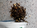 Листья чая и лепестки жасмина
