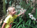 Оранжерея с орхидеями в ботаническом саду