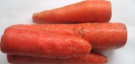 Семена Моркоовь Лосиноостровская 13 «Удачные семена» Гавриш - вот тая знатная морковь выросла в прошлом году из семян