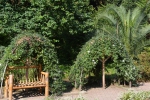 Батумский Ботанический сад