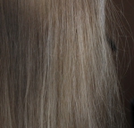 Волосы после шампуня Olive Way