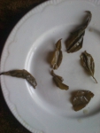 Чайные листья после заварки