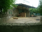 Казанский Зооботанический сад