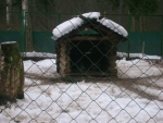 Костромской зоопарк Кто в Теремочке живет?