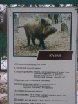 Костромской зоопарк Информация на вольере
