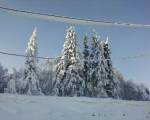 Пейзаж: зимний лес