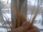 Мои кончики волос: 2 месяца после стрижки и использования флюид реконструктора